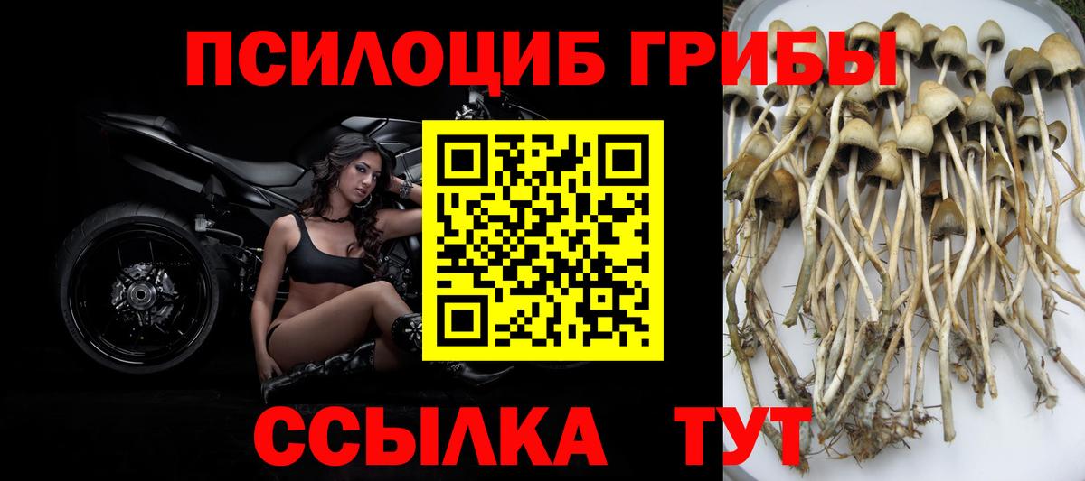 Галлюциногенные грибы ЛСД Мирный
